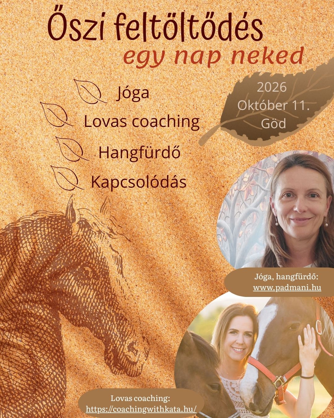 Lovas coaching httpscoachingwithkata.hu